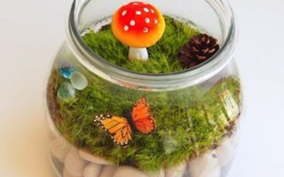 Easy Moss Terrarium Kids Can Make