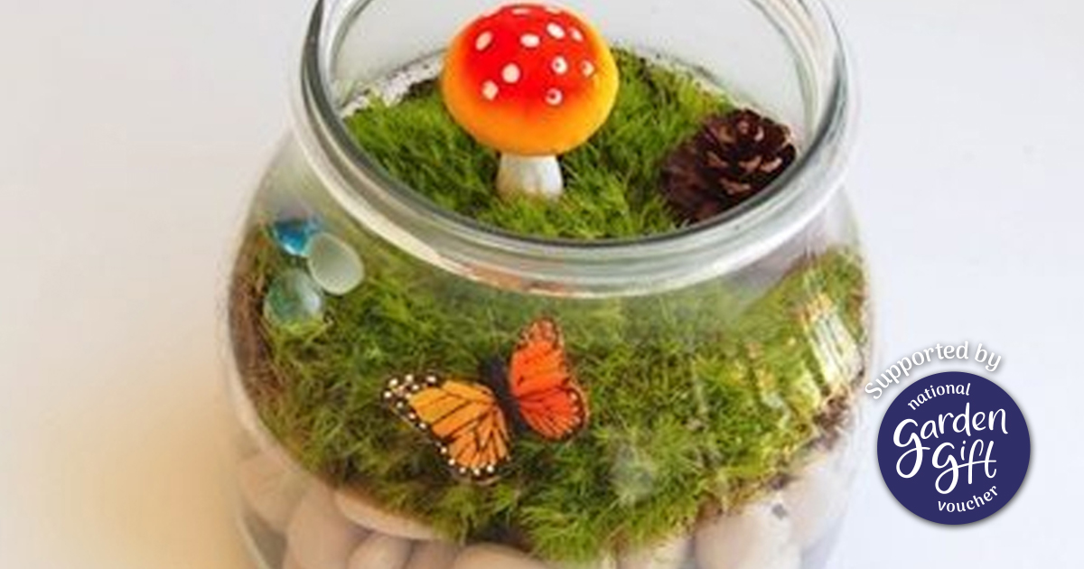 Easy Moss Terrarium Kids Can Make National Children's Gardening Week