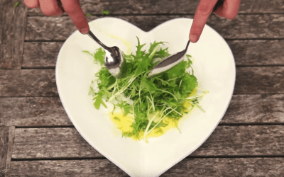 How to grow your salad