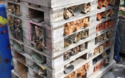 Build a bug hotel