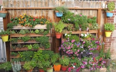 Grow a pallet garden