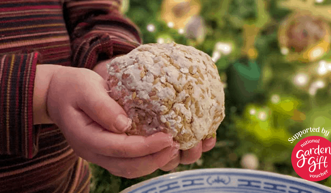 Rudolph’s Energy Ball-balls