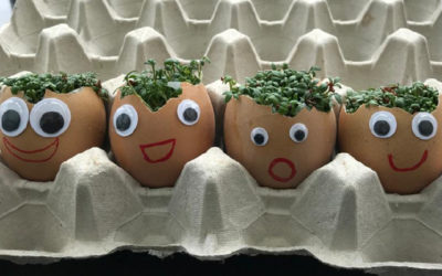 Cress Heads