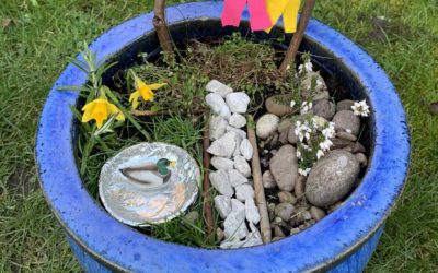 Make a Mini Garden