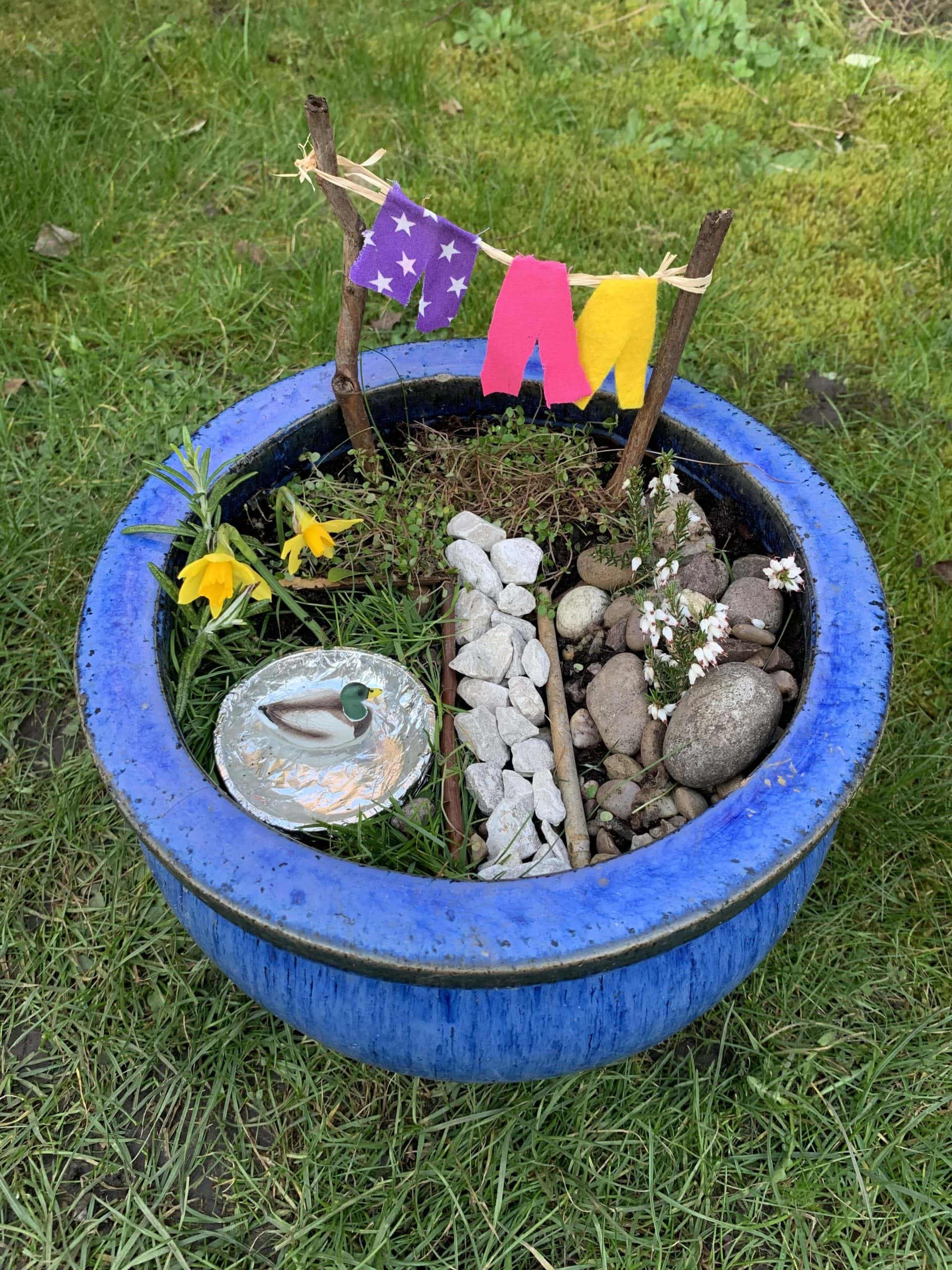 Speel vieren handicap Make a Mini Garden - National Children's Gardening Week