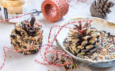 Pinecone Bird Feeder